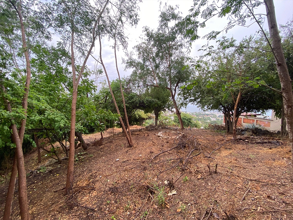 Surroundings of the land and the town of La Cruz de Huanacaxtle.
